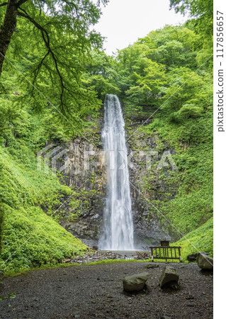 塔瑪達爾瀑布 117856657