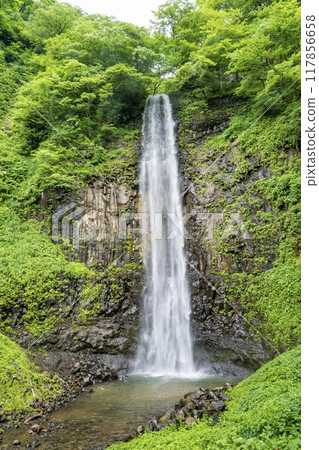 塔瑪達爾瀑布 117856658