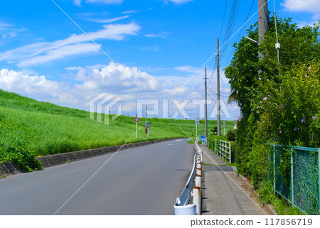 Road along Edogawa River, Matsudo City, Chiba Prefecture, August 2024 117856719