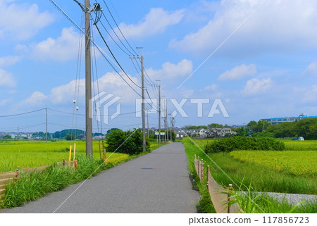 Scenery of Otsugaoka, Kashiwa City, Chiba Prefecture, August 2024 117856723
