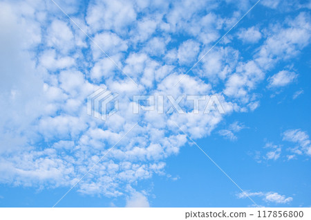 秋天的天空“鱗片雲” 秋天的天空“鱗片雲” 117856800