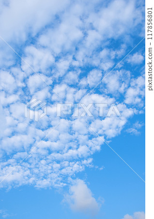 秋天的天空“鱗片雲” 秋天的天空“鱗片雲” 117856801