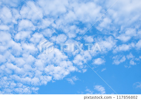 秋天的天空“鱗片雲” 秋天的天空“鱗片雲” 117856802