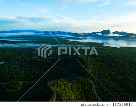 Aerial view of forest trees Rainforest ecosystem and healthy environment background Aerial view of forest trees Rainforest ecosystem and healthy environment background 117856913