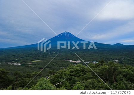 【山梨縣】新綠色的青木原森林和富士山風景 【山梨縣】新綠色的青木原森林和富士山風景 117857075