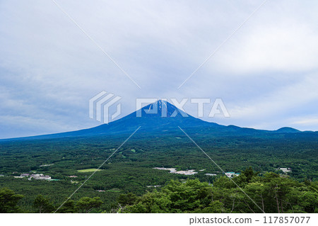[Yamanashi Prefecture] Scenery of the fresh greenery of Aokigahara Jukai and Mt. Fuji 117857077