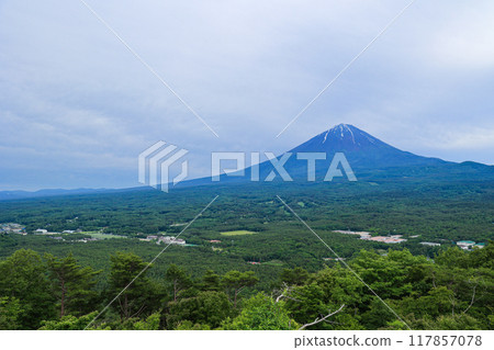 【山梨縣】新綠色的青木原森林和富士山風景 117857078