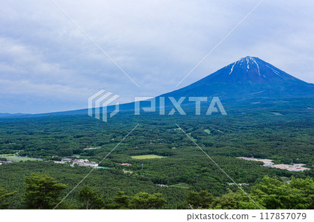 【山梨縣】新綠色的青木原森林和富士山風景 117857079