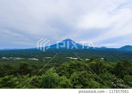[Yamanashi Prefecture] Scenery of the fresh greenery of Aokigahara Jukai and Mt. Fuji 117857081