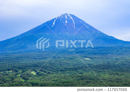 [Yamanashi Prefecture] Scenery of the fresh greenery of Aokigahara Jukai and Mt. Fuji 117857088