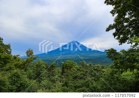 【山梨縣】新綠色的青木原森林和富士山風景 117857092