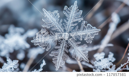 Macro shots capturing the intricate beauty of snowflakes Macro shots capturing the intricate beauty of snowflakes 117857381