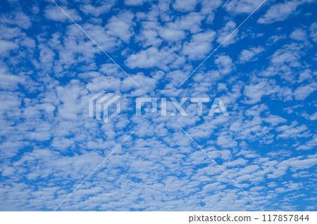 傳播在藍天的一朵白色雲彩 傳播在藍天的一朵白色雲彩 117857844
