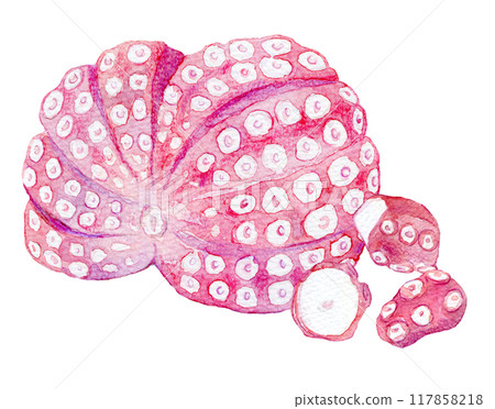 Watercolor illustration: boiled octopus 117858218