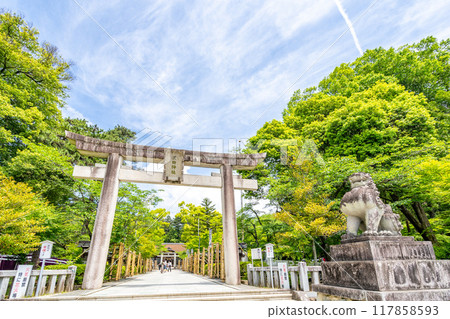 武田神社、鳥居、參道、守護犬、甲斐國的守護神、「勝利運氣」的祝福 117858593