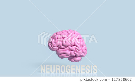 The Brain and neurogenesis text for sic or health concept 3d rendering. The Brain and neurogenesis text for sic or health concept 3d rendering. 117858602