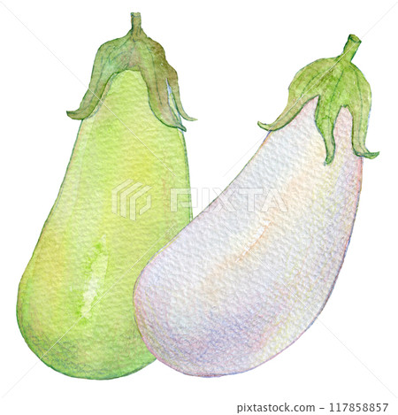 水彩插圖各種類型的茄子 117858857