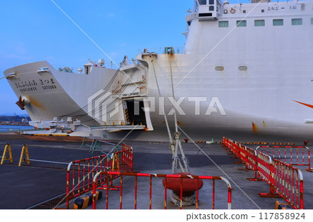 Ferry Sunflower Satsuma anchored at Shibushi Port 117858924