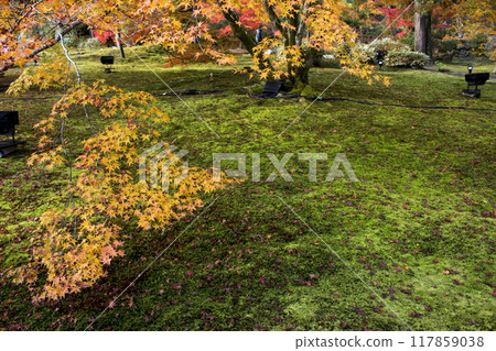 寶嚴院的秋色 117859038