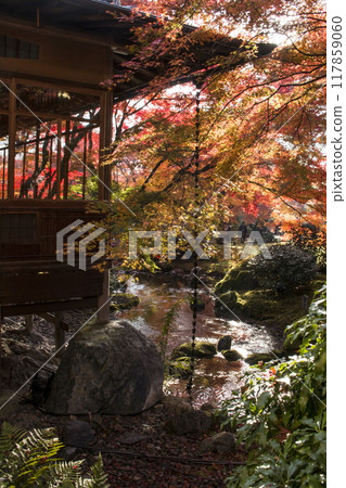 Autumn colors at Hogon-in Temple Autumn colors at Hogon-in Temple 117859060
