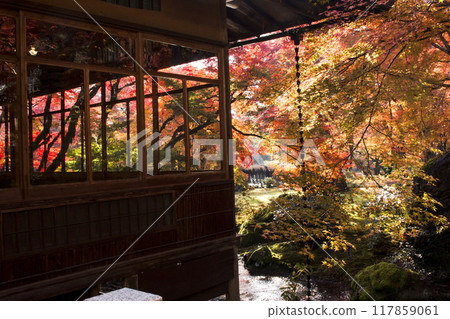 Autumn colors at Hogon-in Temple Autumn colors at Hogon-in Temple 117859061