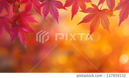 Aerial view of autumn mountain range 117859132
