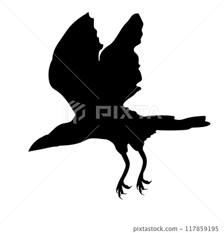 Bird Raven Crow Black Silhouette for Icon. Bird Raven Crow Black Silhouette for Icon. 117859195