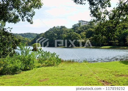 The green and blue of Lake Ippeki in early autumn The green and blue of Lake Ippeki in early autumn 117859232