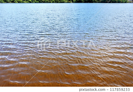 初秋一碧湖的水色 117859233