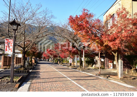 Kegonji Temple, Kegonji Temple, Ibi-gun, Gifu Prefecture Kegonji Temple, Kegonji Temple, Ibi-gun, Gifu Prefecture 117859310