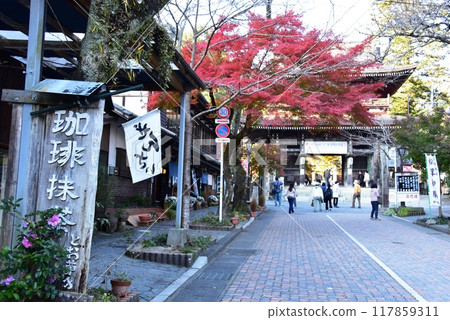 岐阜縣伊備郡華嚴寺華嚴寺 岐阜縣伊備郡華嚴寺華嚴寺 117859311