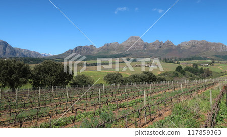 Guardian Peak Winery, Western Cape, South Africa 117859363