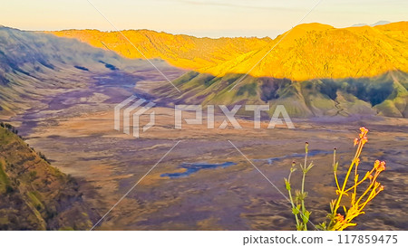 beautiful view of Mount Bromo landscape beautiful view of Mount Bromo landscape 117859475