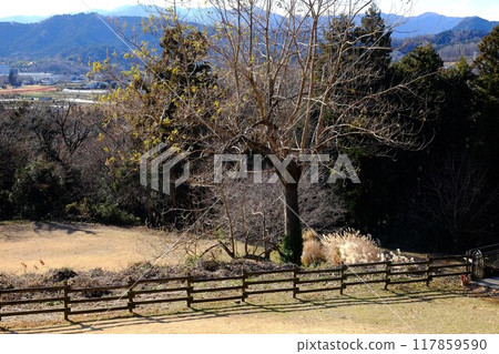 Winter Grassland Square [Tsukui, Sagamihara City, January] 117859590