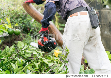 用電鋸砍倒一棵倒下的樹 117859931