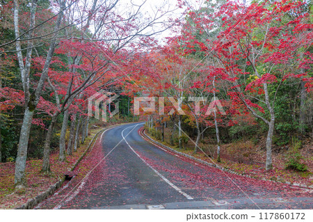 Autumn leaves of Mt. Mikura 117860172