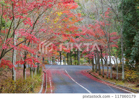 Autumn leaves of Mt. Mikura 117860179