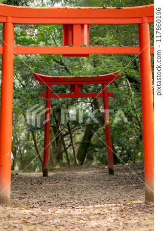 A torii gate visible beyond the torii gate 117860196