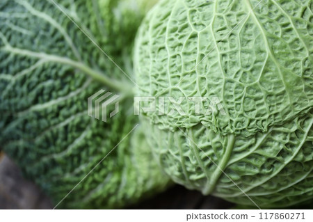 低農藥種植的高麗菜、新鮮生蔬菜 低農藥種植的高麗菜、新鮮生蔬菜 117860271