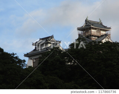 Looking up at Echizen Ono Castle 117860736