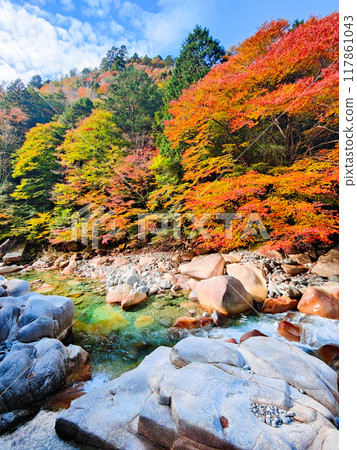 阿加尼亞山谷在秋天 117861043