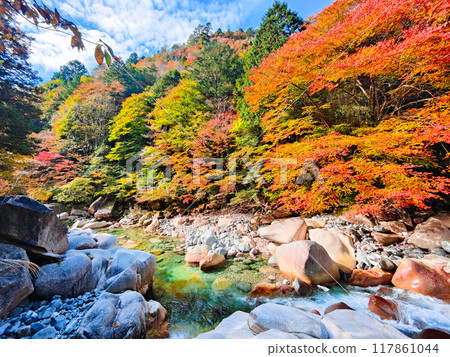 阿加尼亞山谷在秋天 117861044