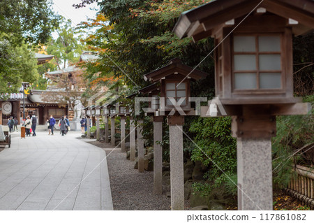 [Japan] Lanterns lined up along the approach to Samukawa Shrine in Kanagawa Prefecture 117861082