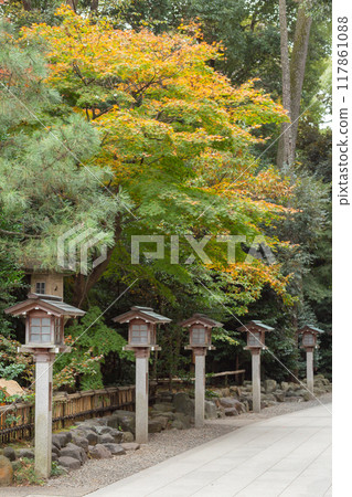 [Japan] Lanterns and autumn leaves line the approach to Samukawa Shrine in Kanagawa Prefecture 117861088