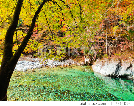 The Agana valley in autumn 117861094
