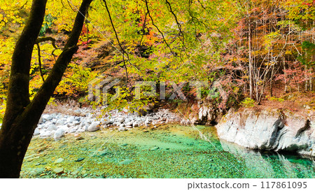 The Agana valley in autumn 117861095