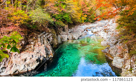 The Agana valley in autumn 117861123