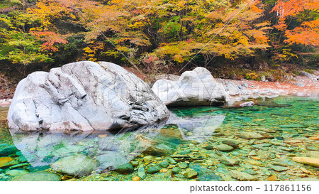 阿加尼亞山谷在秋天 117861156