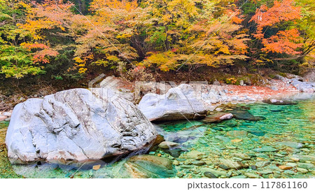 The Agana valley in autumn 117861160