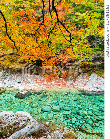 The Agana valley in autumn The Agana valley in autumn 117861163
